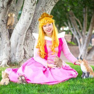 AURORA (SLEEPING BEAUTY) PROFESSIONAL COSTUME